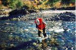 Suivi de la macrofaune benthique Comparaison de trois m&eacute;thodes - Comit&eacute; de valorisation de la rivi&egrave;re Beauport - G3E