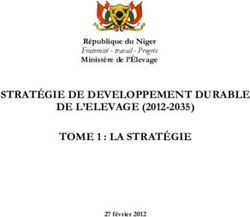 STRATÉGIE DE DEVELOPPEMENT DURABLE DE L'ELEVAGE (2012-2035) TOME 1 : LA STRATÉGIE - République du Niger Fraternité - travail - Progrès Ministère ...