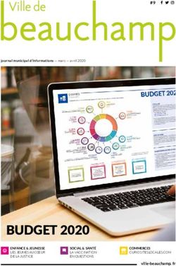 BUDGET 2020 - #9 - Ville de Beauchamp