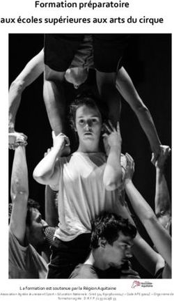 Formation préparatoire aux écoles supérieures aux arts du cirque - Ecole de Cirque de Bordeaux