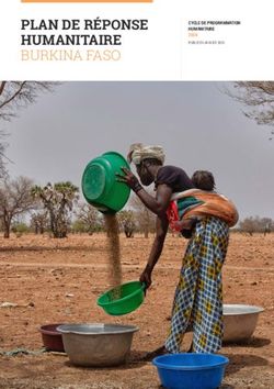 PLAN DE RÉPONSE HUMANITAIRE BURKINA FASO - CYCLE DE PROGRAMMATION HUMANITAIRE 2020 - Humanitarian ...