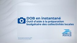 DOB en instantan&eacute; Outil d'aide &agrave; la pr&eacute;paration budg&eacute;taire des collectivit&eacute;s locales