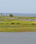 MADAGASCAR Guide National pour la Gestion Durable des Zones Humides - Blackham, G.V. & Avent, T. (2018) Guide National pour la Gestion Durable des ...