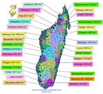MADAGASCAR Guide National pour la Gestion Durable des Zones Humides - Blackham, G.V. & Avent, T. (2018) Guide National pour la Gestion Durable des ...