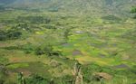 MADAGASCAR Guide National pour la Gestion Durable des Zones Humides - Blackham, G.V. & Avent, T. (2018) Guide National pour la Gestion Durable des ...