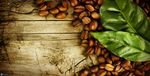 DOSSIER D'ANALYSE DE SECTEUR : LES COFFEE SHOPS - GROUPE C Professeur Pilote : M. SIMONIN - Palimpsestes