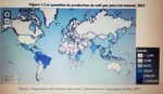 DOSSIER D'ANALYSE DE SECTEUR : LES COFFEE SHOPS - GROUPE C Professeur Pilote : M. SIMONIN - Palimpsestes