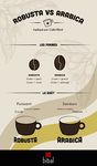 DOSSIER D'ANALYSE DE SECTEUR : LES COFFEE SHOPS - GROUPE C Professeur Pilote : M. SIMONIN - Palimpsestes