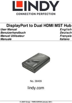 DisplayPort to Dual HDMI MST Hub - Deutsch Français Italiano - lindy.com