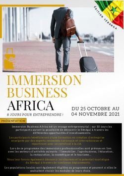 IMMERSION BUSINESS AFRICA