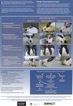 LAPINS - CODE DE PRATIQUES - National Farm Animal Care Council