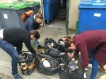 Projet tuteuré : Comment inciter l'action collective autour de la protection de l'environnement ?