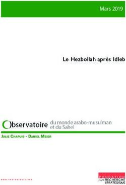 Le Hezbollah apr&egrave;s Idleb - Mars 2019 - Julie Chapuis - Daniel Meier - Fondation pour la Recherche Strat&eacute;gique