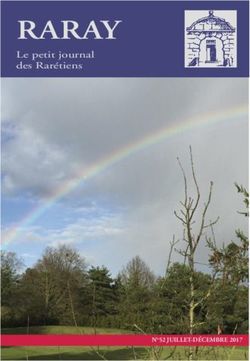 Le petit journal des Rarétiens - N 52 JUILLET-DÉCEMBRE 2017 - Mairie de Raray
