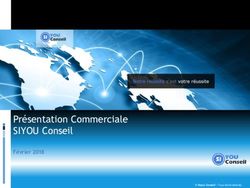 Présentation Commerciale SIYOU Conseil - Février 2018