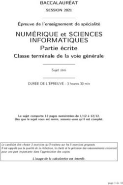 INFORMATIQUES NUMÉRIQUE et SCIENCES - Épreuve de l'enseignement de spécialité - Sujet de bac