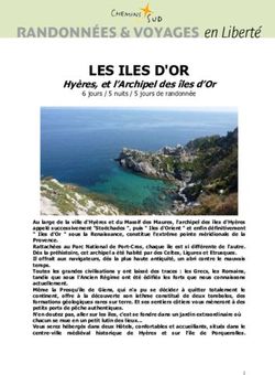 LES ILES D'OR Hy&egrave;res, et l'Archipel des &icirc;les d'Or - Chemins du Sud