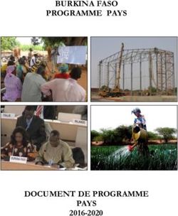 BURKINA FASO PROGRAMME PAYS - DOCUMENT DE PROGRAMME PAYS 2016-2020 - Danmark i Burkina Faso