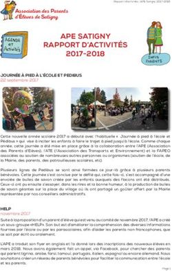 APE SATIGNY RAPPORT D'ACTIVITÉS 2017-2018