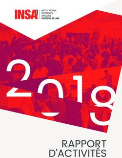 RAPPORT D'ACTIVITÉS - INSA Centre Val de Loire