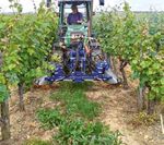 Quel entretien du sol? - Revue suisse de Viticulture ...