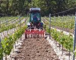 Quel entretien du sol? - Revue suisse de Viticulture ...