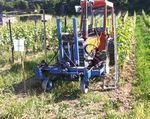 Quel entretien du sol? - Revue suisse de Viticulture ...