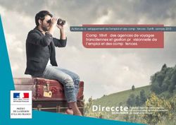 Compétitivité des agences de voyages franciliennes et gestion prévisionnelle de l'emploi et des compétences.