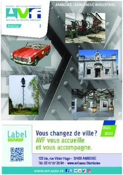 AMBOISE : SON PASS&Eacute; INDUSTRIEL 2020 2021 - Accueil des villes fran&ccedil;aises