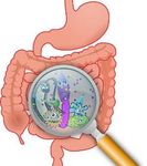 Programmation nutritionnelle des maladies de l'adulte - JPP