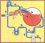 LES SECRETS D'UN BON CAFE