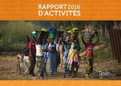 D'activit&eacute;s RappoRt 2016 - GRDR