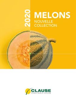 MELONS NOUVELLE COLLECTION - HM Clause