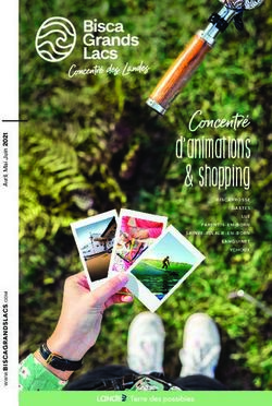 Concentr&eacute; d'animations & shopping - Bisca Grands Lacs