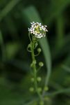 Sorties Naturalistes - Vienne Nature