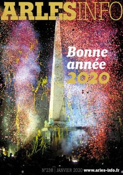 2020 Bonne année - N 238 | JANVIER 2020 www.arles-info.fr - Arles kiosque