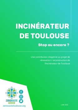 INCINÉRATEUR DE TOULOUSE - Stop ou encore ? Une contribution citoyenne au projet de