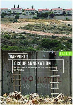 RAPPORT OCCUP'ANNEXATION - Le glissement d'une occupation vers une annexion en Palestine - Le glissement d'une occupation vers ...