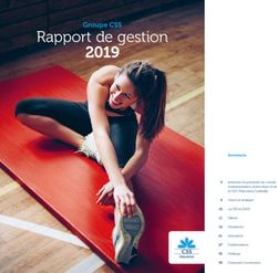 Rapport de gestion Groupe CSS