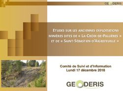 MINI&Egrave;RES DITES DE " LA-CROIX-DE-PALLI&Egrave;RES " ET DE " SAINT-S&Eacute;BASTIEN-D'AIGREFEUILLE " - ETUDES SUR LES ANCIENNES EXPLOITATIONS