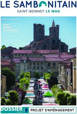 SAINT-BONNET LE MAG - DOSSIERTRAVAUX - Saint-Bonnet-le-Ch&acirc;teau