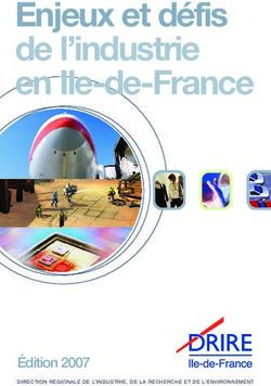 Enjeux et défis de l'industrie en Ile-de-France - Édition 2007 - Direccte