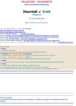 Journal d' Irak PALESTINE - SOLIDARIT&Eacute; - Palestine Solidarit&eacute;