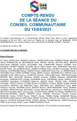 COMPTE-RENDU DE LA S&Eacute;ANCE DU DU 15/04/2021 - CONSEIL COMMUNAUTAIRE