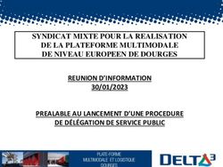 REUNION D'INFORMATION PREALABLE AU LANCEMENT D'UNE PROCEDURE DE D&Eacute;L&Eacute;GATION DE SERVICE PUBLIC - 30/01/2023 SYNDICAT MIXTE POUR LA REALISATION DE LA ...