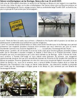 S&eacute;jour ornithologique au lac Baringo, Kenya du 6 au 14 avril 2019.