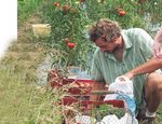 Ville et campagne un m&ecirc;me territoire une culture commune - Sauge 2005-2008 - Terres en villes