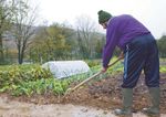 Ville et campagne un m&ecirc;me territoire une culture commune - Sauge 2005-2008 - Terres en villes