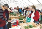 Ville et campagne un m&ecirc;me territoire une culture commune - Sauge 2005-2008 - Terres en villes