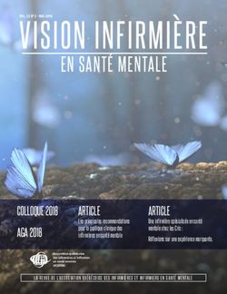 VISION INFIRMIÈRE EN SANTÉ MENTALE - AQIISM